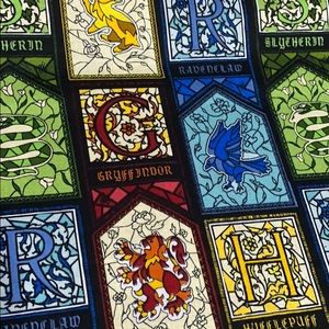 Harry Potter face masks